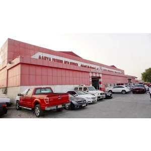 Aarya Premium Auto - EV & German car repair